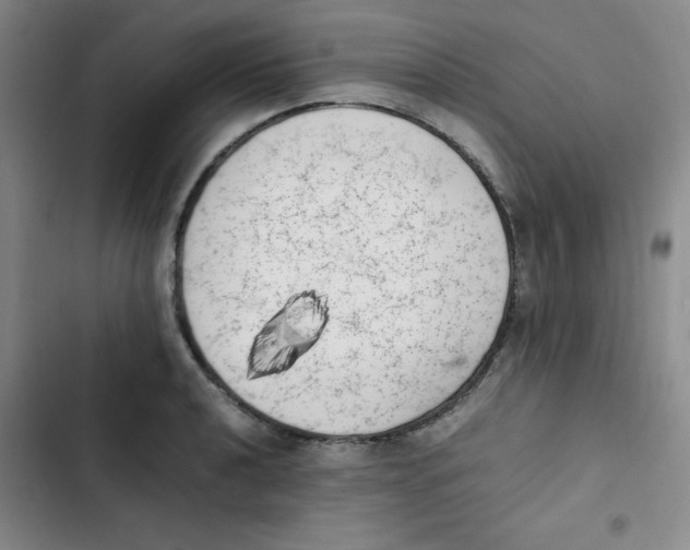 X0000102861040200809151206