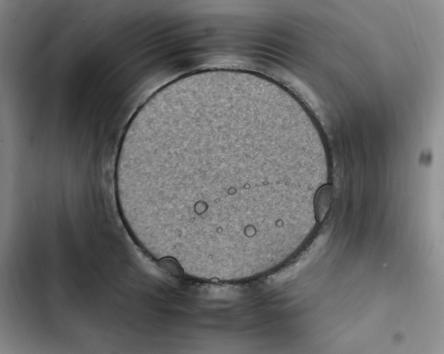 X0000102861041200809151206