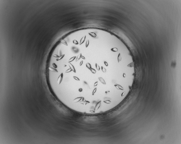 X0000102861043200809151206