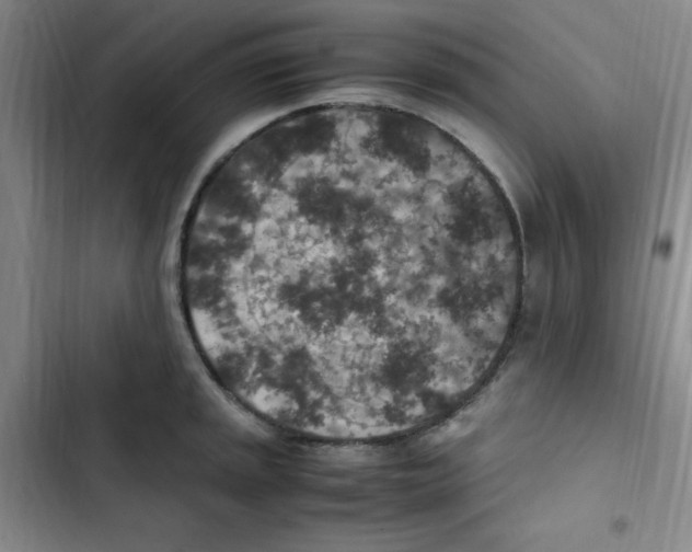 X0000102861045200809151206