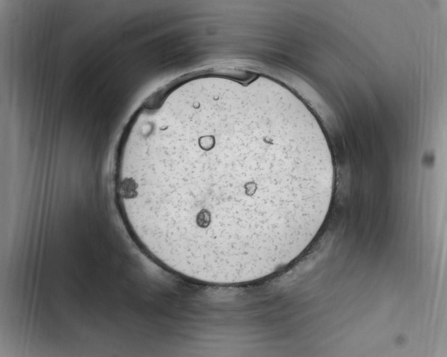 X0000102861046200809151206