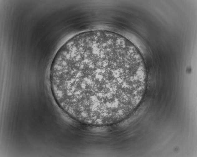 X0000102861047200809151206