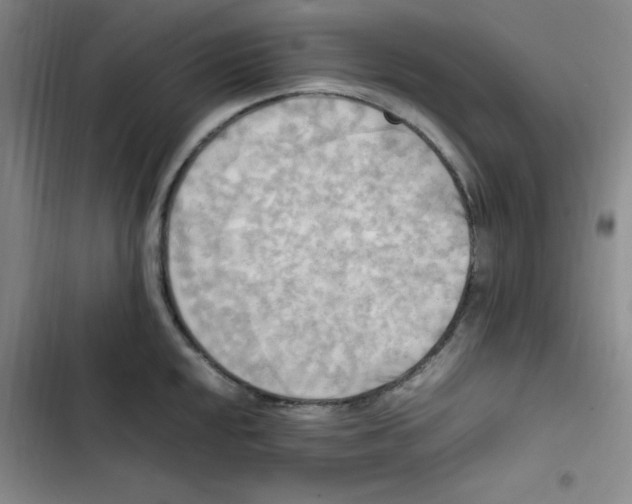 X0000102861048200809151206