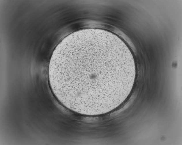 X0000102861049200809151206