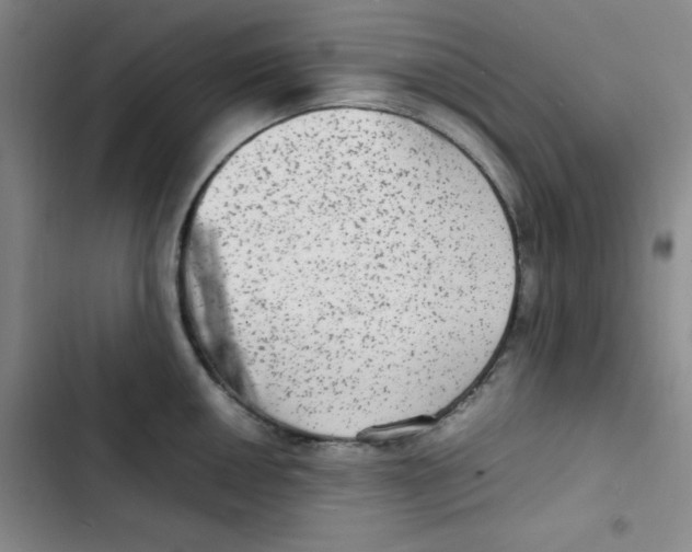 X0000102861050200809151206