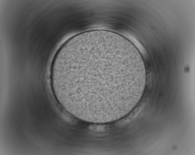 X0000102861051200809151206