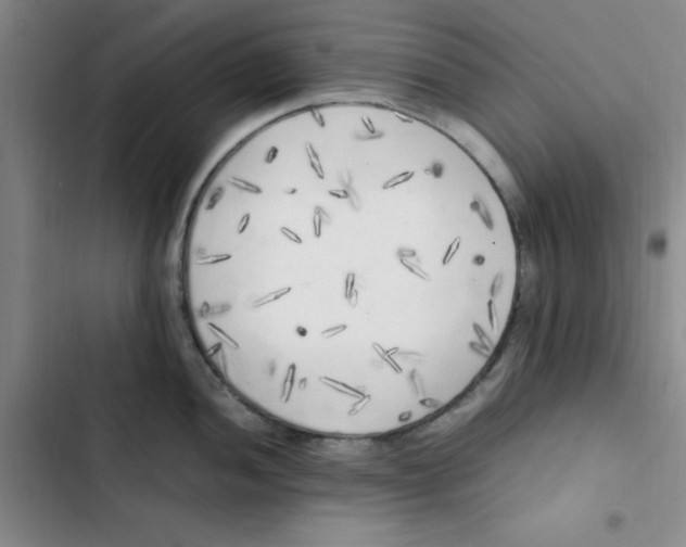 X0000102861052200809151206