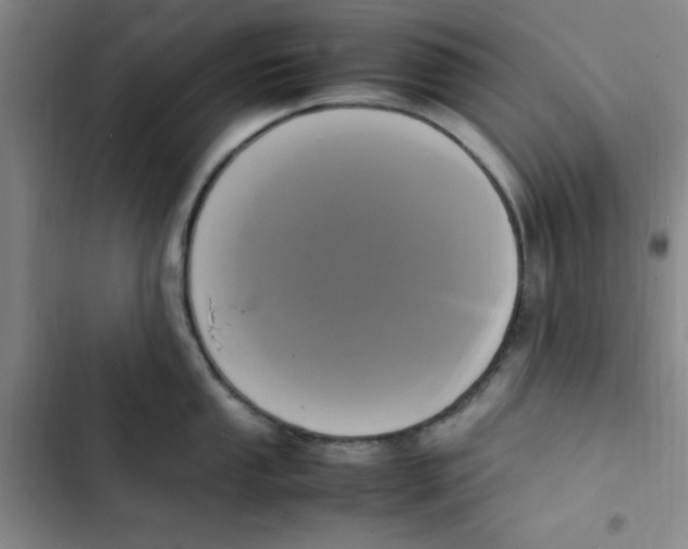 X0000102861053200809151206