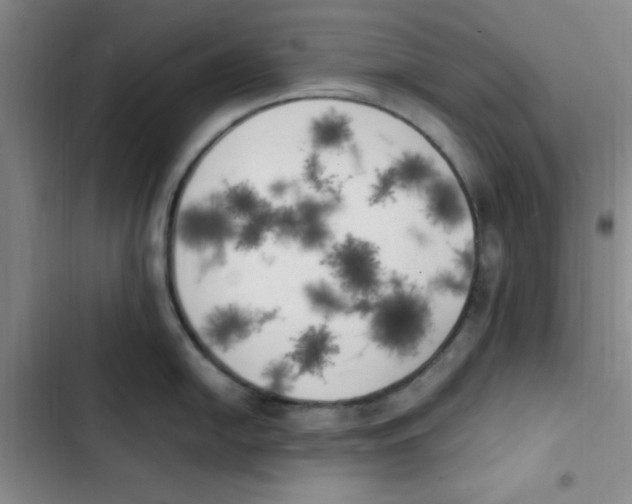 X0000102861054200809151206