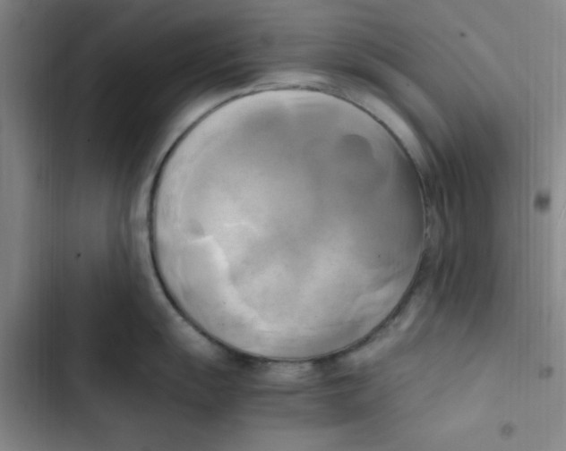 X0000102861055200809151206