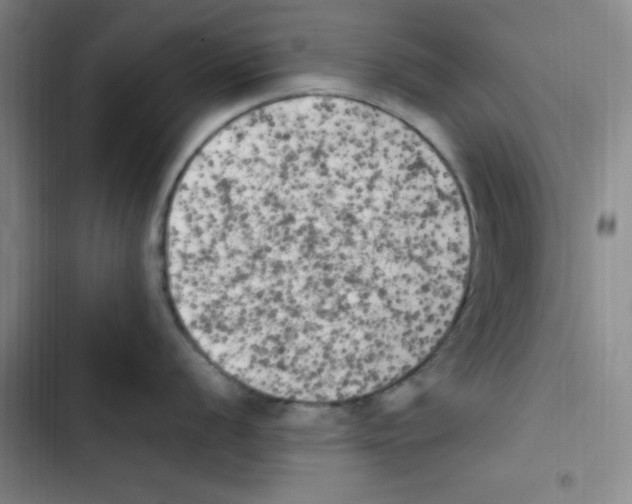 X0000102861056200809151206