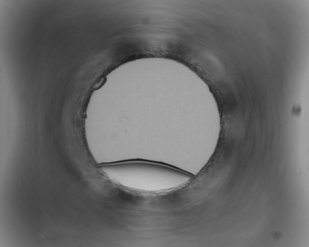 X0000102861057200809151205