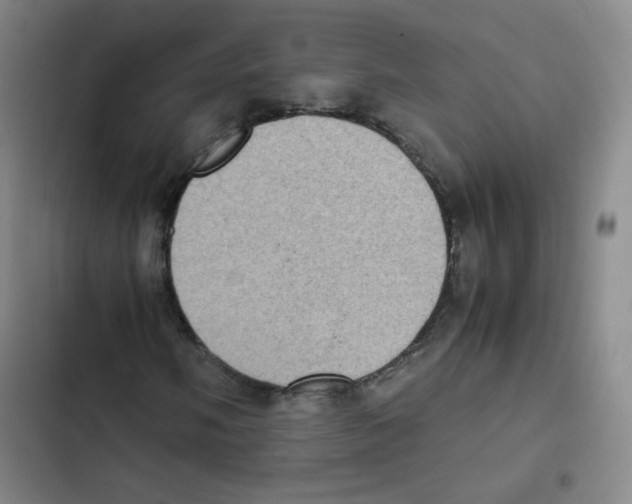 X0000102861058200809151205