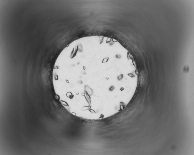 X0000102861059200809151205