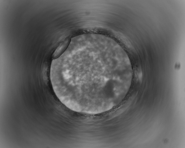 X0000102861060200809151205