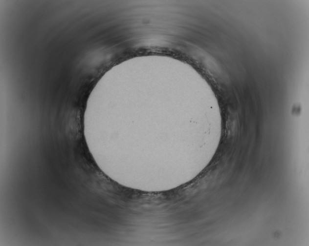 X0000102861062200809151205