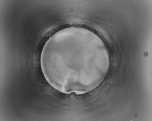 X0000102861063200809151205