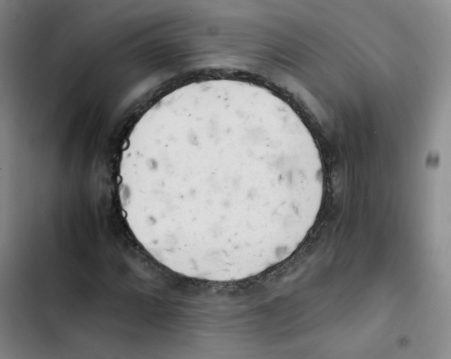 X0000102861064200809151205