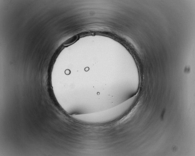 X0000102861065200809151205