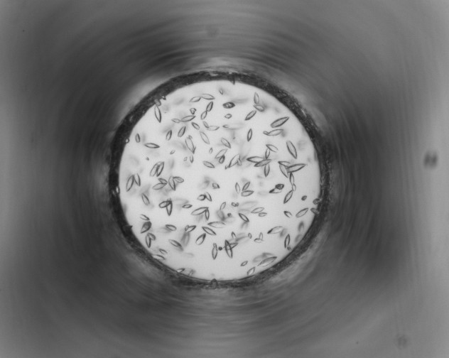 X0000102861066200809151205