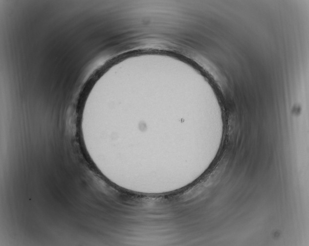 X0000102861067200809151205