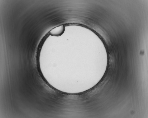 X0000102861068200809151205