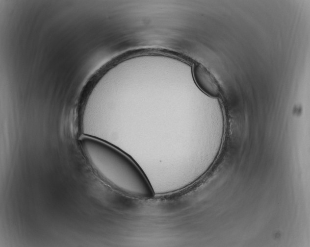 X0000102861069200809151205