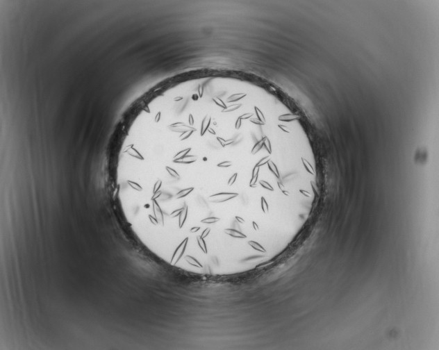 X0000102861070200809151205