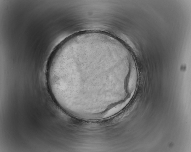 X0000102861071200809151205