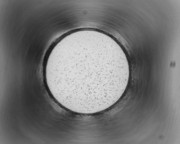 X0000102861072200809151205