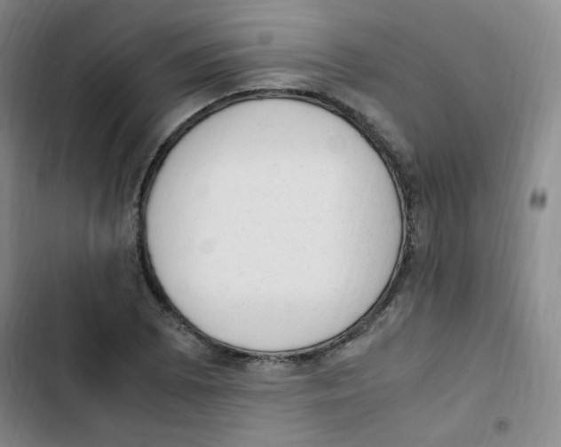 X0000102861073200809151205