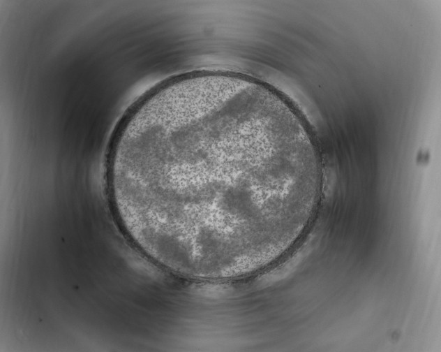 X0000102861074200809151205