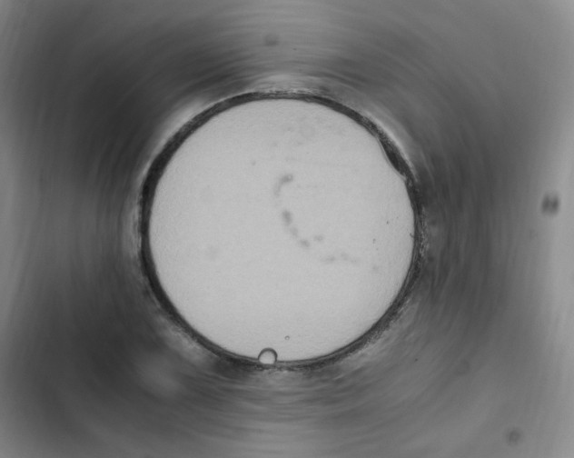 X0000102861075200809151205