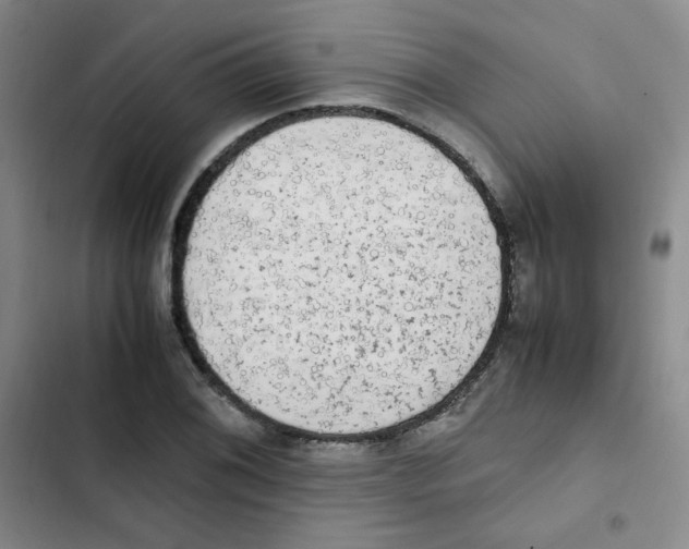 X0000102861076200809151205