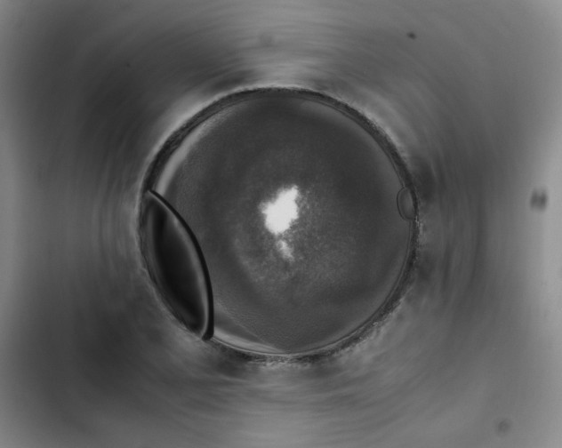 X0000102861077200809151205