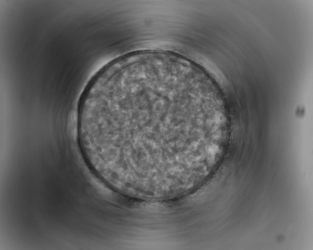 X0000102861079200809151205