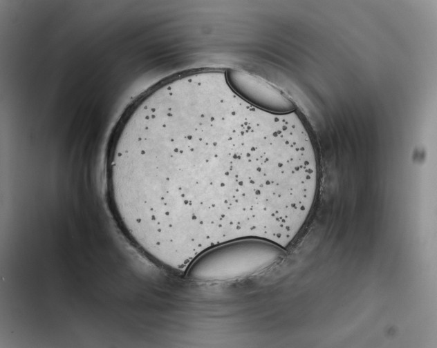 X0000102861080200809151205