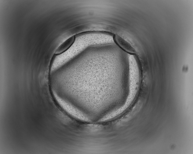 X0000102861081200809151205