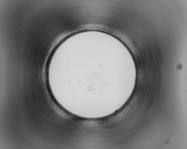 X0000102861082200809151205