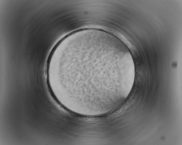 X0000102861084200809151205