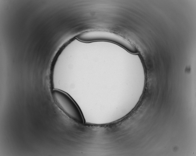 X0000102861085200809151205