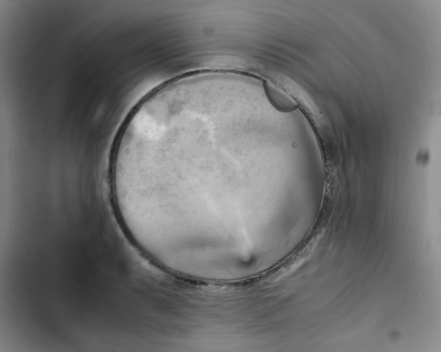 X0000102861087200809151205