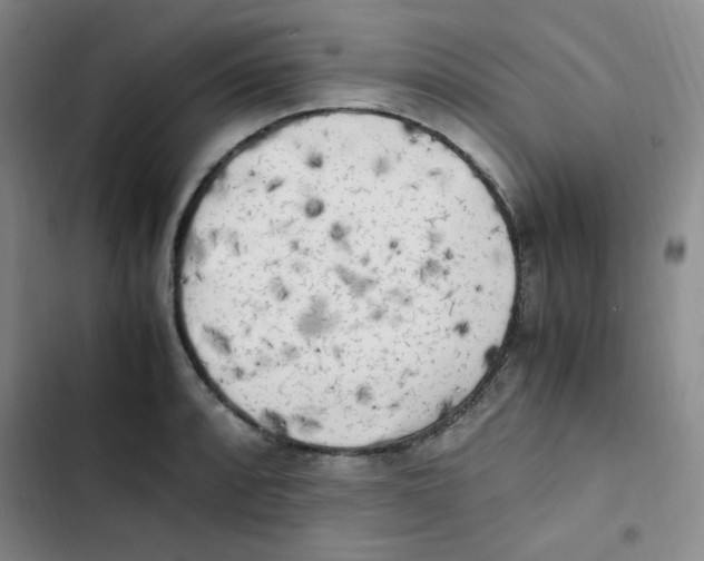 X0000102861088200809151205