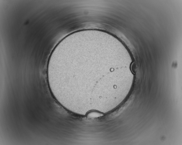 X0000102861089200809151205