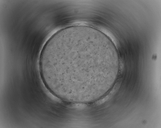 X0000102861090200809151205