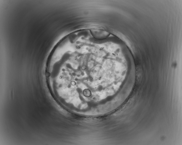 X0000102861091200809151205