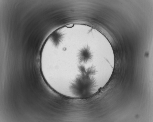 X0000102861092200809151205