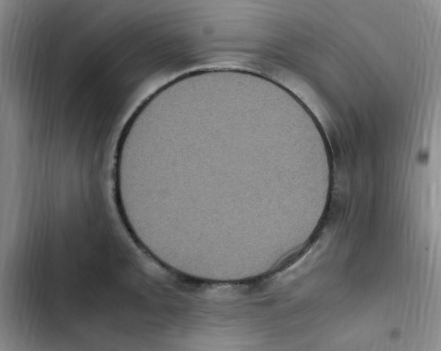 X0000102861093200809151205