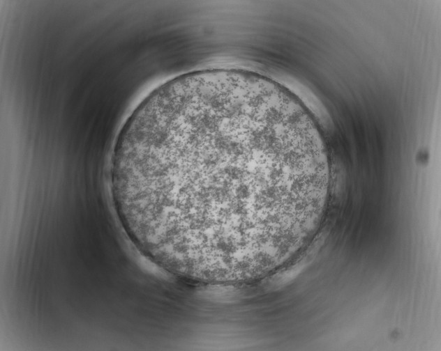 X0000102861094200809151205