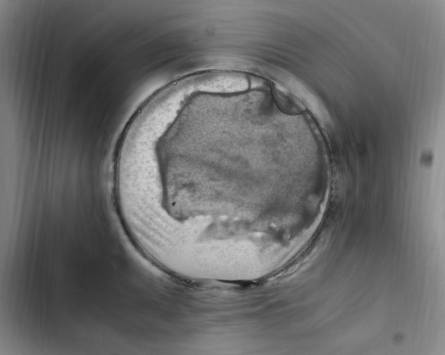 X0000102861095200809151205